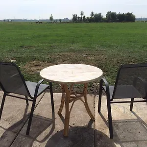 Your Waggon At The Cow's Paradise Bed & Breakfast Amsterdam